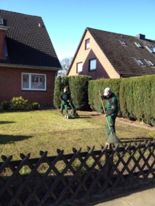 Vertikutieren